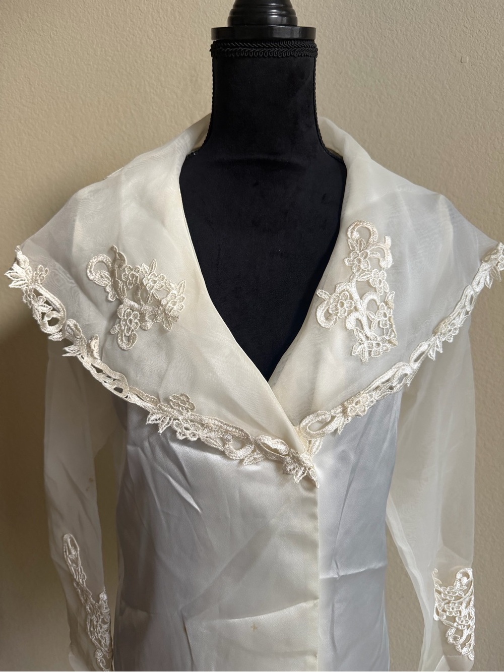Sheer Ivory Long-Sleeve Organza Dress with Lace Appliqué